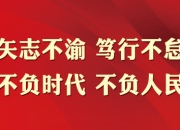 开云平台-队员们全力以赴在场上拼搏，为了荣誉不懈努力的简单介绍