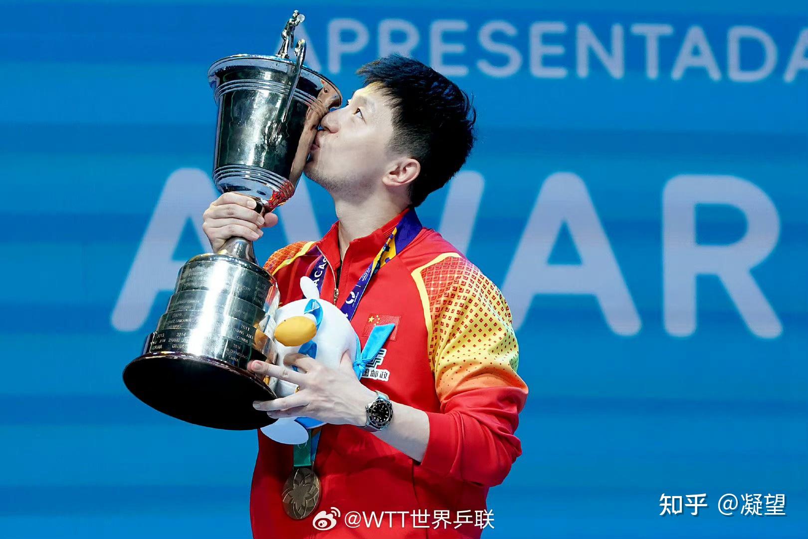 德国乒乓球队绝地反击波兰乒乓球队，马龙送出助攻的简单介绍