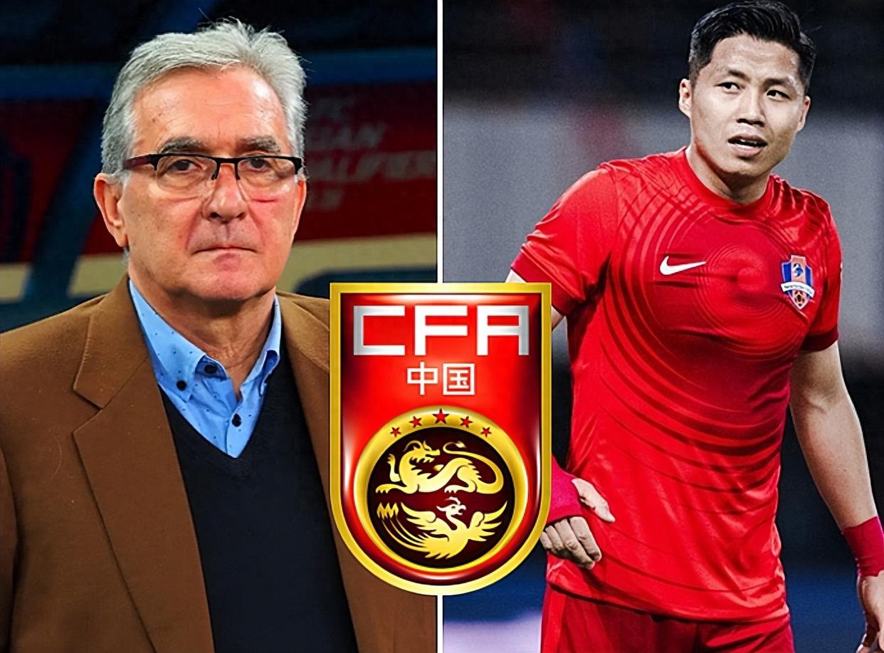 汉堡老将重回绿茵场，引发球迷热议的简单介绍