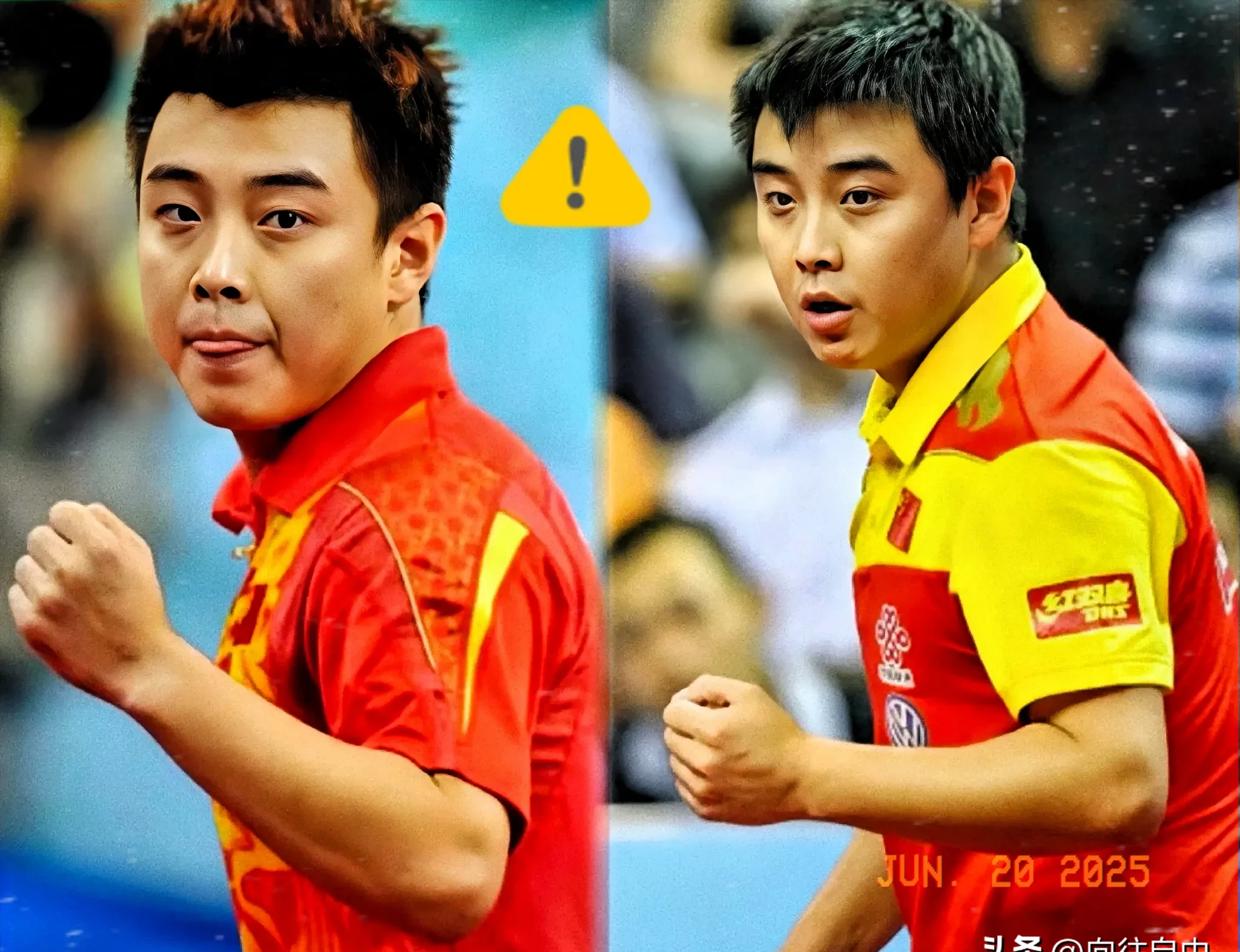 德国队力克葡萄牙队，王皓惊艳四座的简单介绍