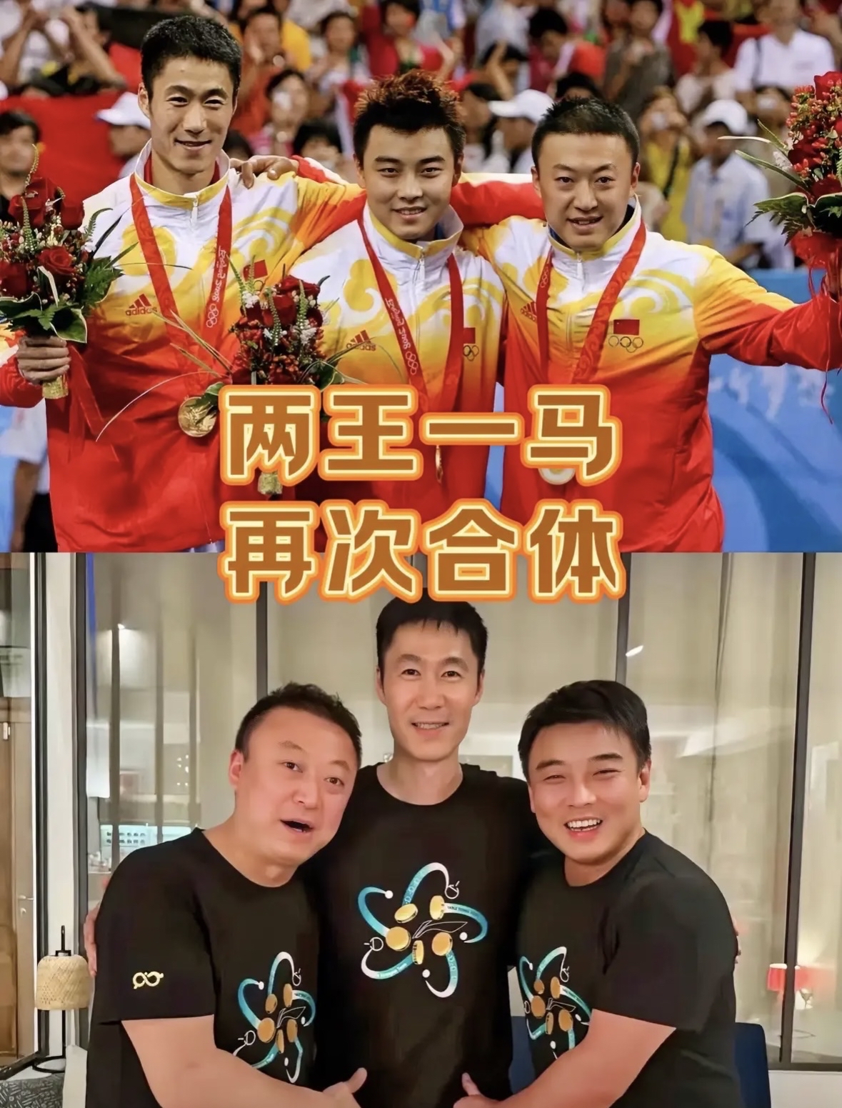 德国队力克葡萄牙队，王皓惊艳四座的简单介绍