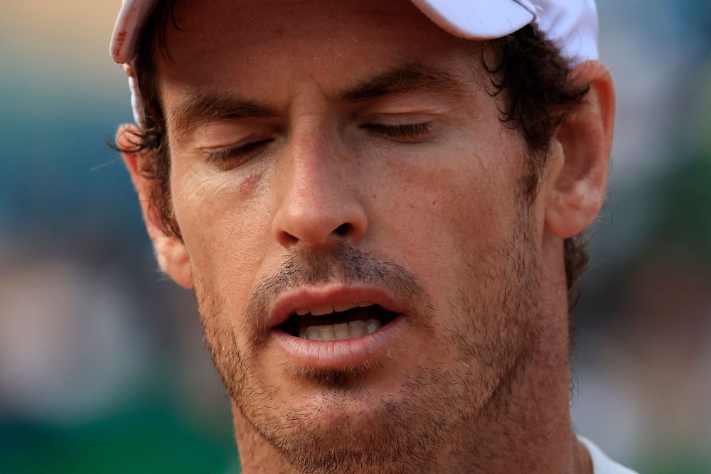 包含年终总决赛逆转蒙特卡洛大师赛，穆雷刷新纪录的词条