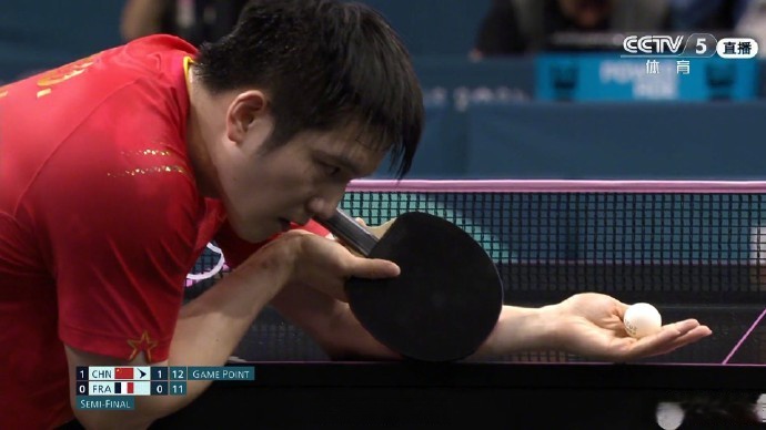 瑞典队翻盘法国队，樊振东高光表现的简单介绍