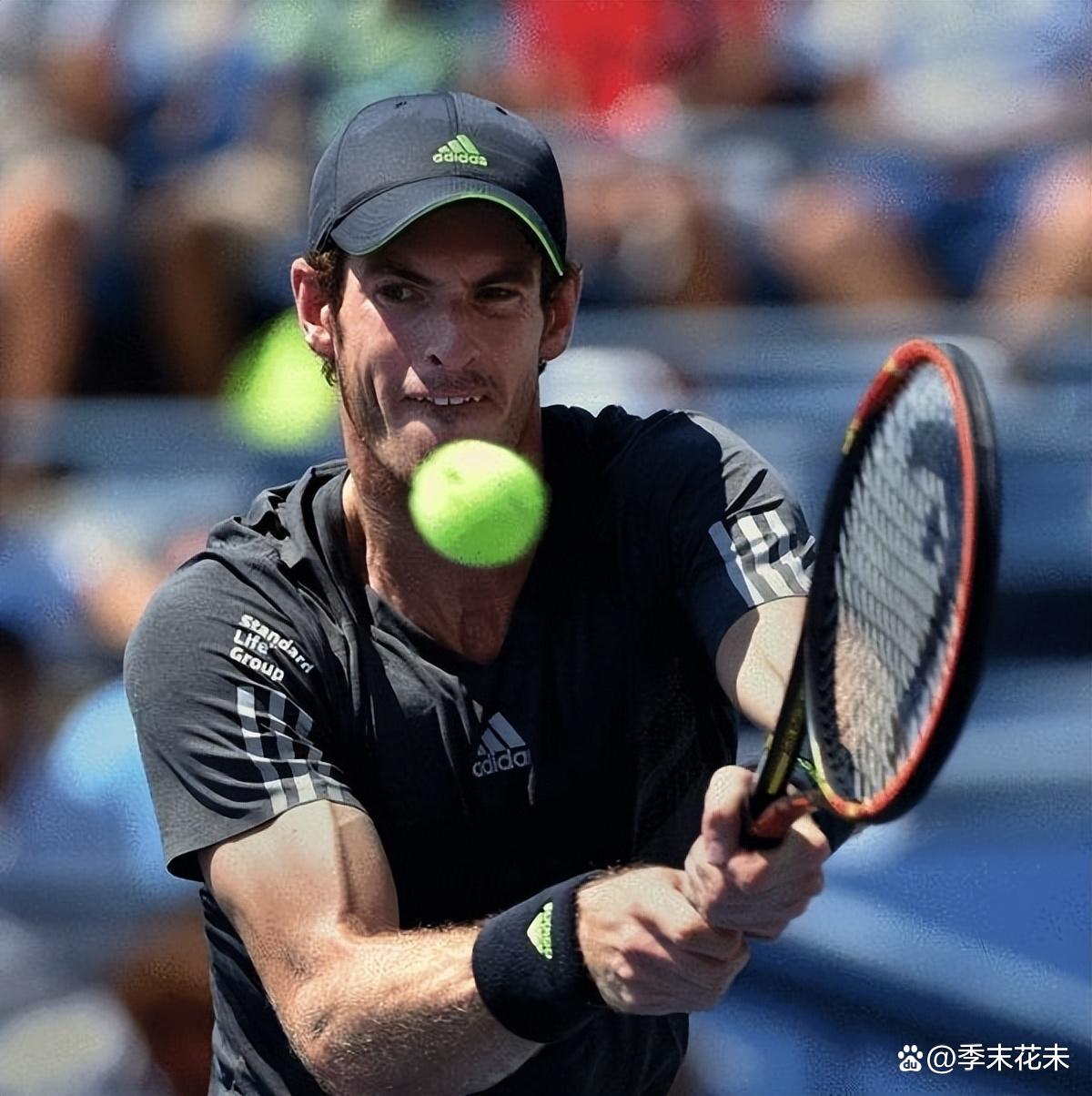 包含戴维斯杯轻取温网，穆雷刷新纪录的词条